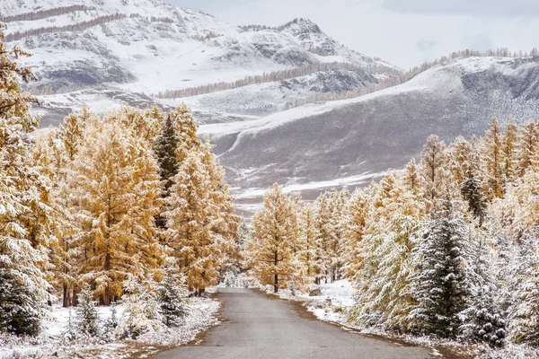 Paesaggio montano con fiume — Foto Stock