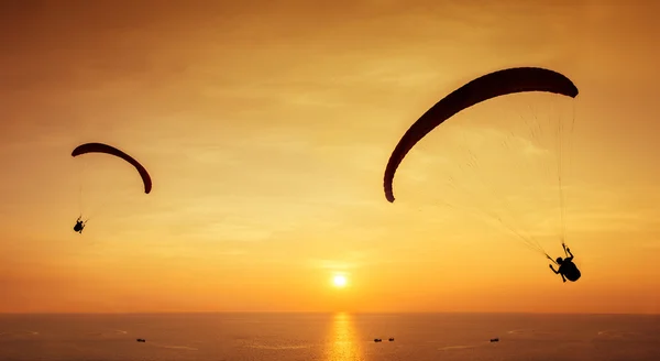 Group of skydivers on sky — Stock Photo, Image