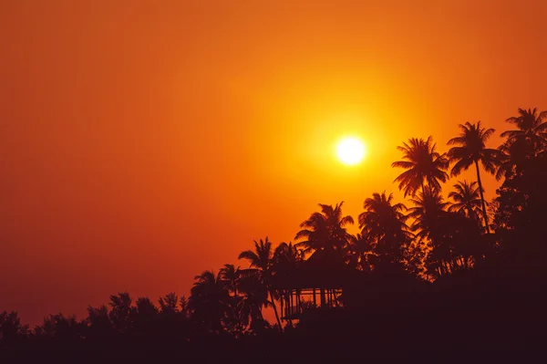 Piękny pomarańczowy zachód słońca — Zdjęcie stockowe