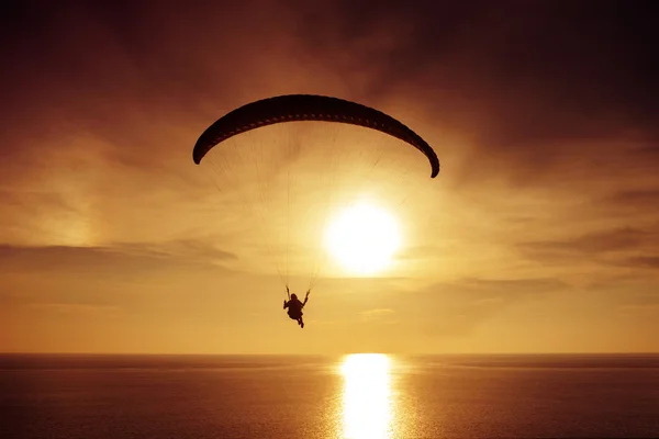 Paraglider flies on background of sea — Stock Photo, Image