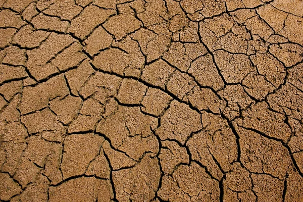 Dry cracked earth — Stock Photo, Image