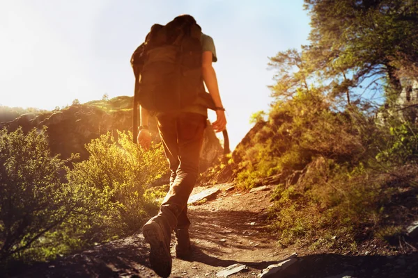 Man backpacker trekking — Stockfoto