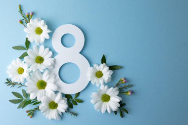 Pastel arka planda sekiz numarayı çevreleyen papatyalar dağınık tomurcuklar ve yeşil yapraklar, temiz düzlükler. 8 Mart