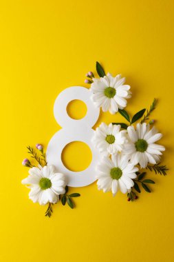 Pastel arka planda sekiz numarayı çevreleyen papatyalar dağınık tomurcuklar ve yeşil yapraklar, temiz düzlükler. 8 Mart