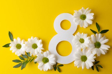 Pastel arka planda sekiz numarayı çevreleyen papatyalar dağınık tomurcuklar ve yeşil yapraklar, temiz düzlükler. 8 Mart