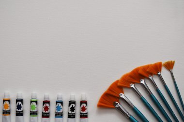 Boya fırçaları ve beyaz tuval zemin üzerine akrilik renkler