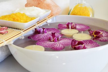 Güzel spa ayarı ile orkide çiçek