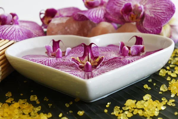 Güzel spa ayarı ile orkide çiçek