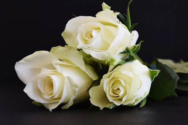 Close up of white roses flower Royalty Free Stock Photos