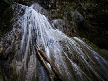 Ağaç gövdesi ile gizli şelale