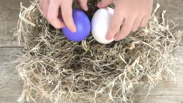 Uovo di Pasqua su nido . — Video Stock