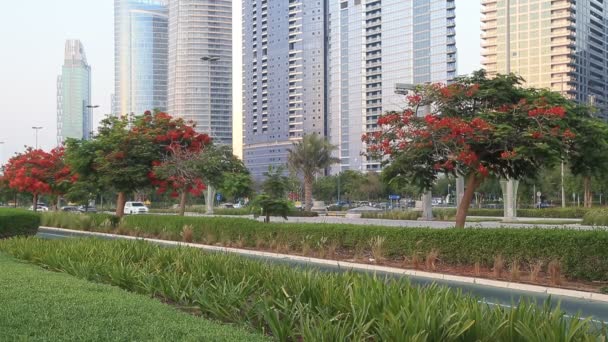 ABU DHABI, Emiratos Árabes Unidos - 23 de mayo de 2021: Abu Dhabi Corniche durante la hora dorada. Gente montando bicicletas, coches pasando por. — Vídeo de stock