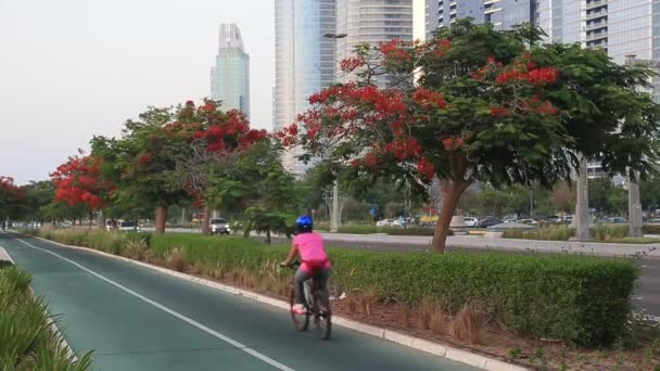 ABU DHABI, UAE - MAY 23, 2021: Abu Dhabi Corniche during golden hour. People riding bikes, cars passing by. — Stock Video