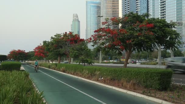 ABU DHABI, UAE - MAJ 23, 2021: Abu Dhabi Corniche under gyllene timmen. Cyklar, bilar som passerar. — Stockvideo