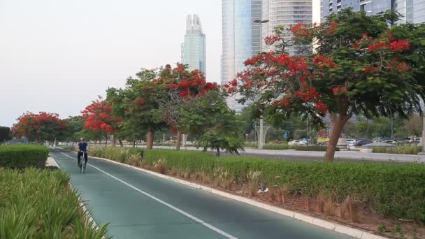 ABU DHABI, Emirados Árabes Unidos - 23 de maio de 2021: Abu Dhabi Corniche durante a hora de ouro. Pessoas a andar de bicicleta, carros a passar. — Vídeo de Stock