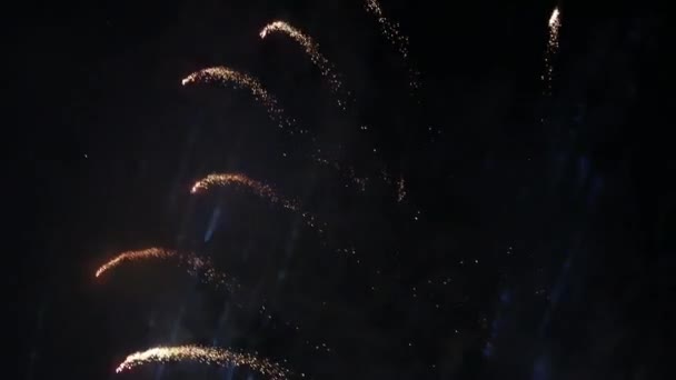 Feux d'artifice à Abu Dhabi illuminant le ciel dans le cadre des célébrations de la fête nationale des EAU — Video