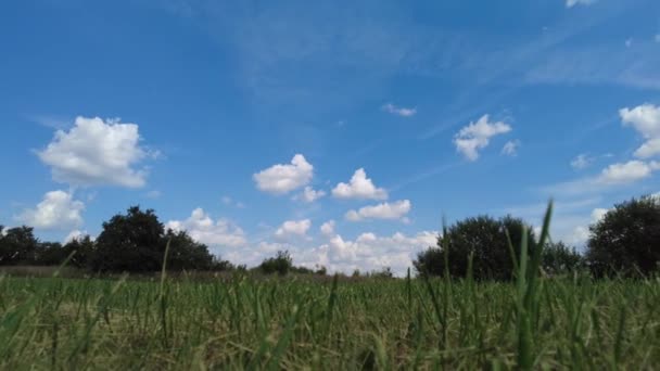 Hiper lapso de vista del paisaje de verano en el campo. Panorama de izquierda a derecha. — Vídeo de stock