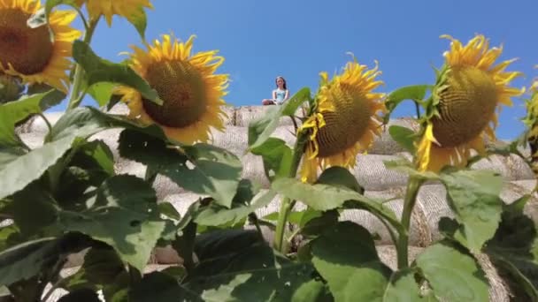 Niña sentada en la parte superior de la bala redonda de heno en el campo de girasoles en verano en Bielorrusia. Generación Z. Movimiento lento. — Vídeo de stock