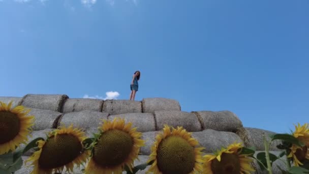 Młoda dziewczyna stojąca na szczycie okrągłej beli siana na polu słoneczników w lecie na Białorusi. Pokolenie Z. Zwolniony ruch. — Wideo stockowe
