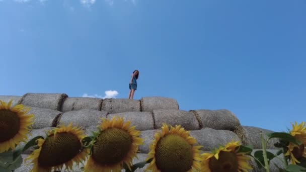 Gadis muda berdiri di atas gulungan jerami di ladang bunga matahari di musim panas di Belarus. Generasi Z. Gerakan lambat. — Stok Video