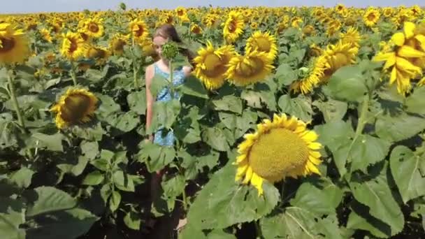 Ein junges Mädchen beim Spazierengehen im Sonnenblumenfeld während eines sonnigen und windigen Tages in Weißrussland. Zeitlupe. — Stockvideo