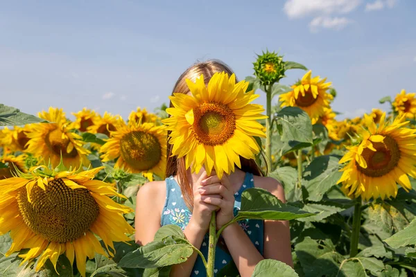 Tarlada ayçiçeğini gözünün önünde tutan kız. Z Nesli.