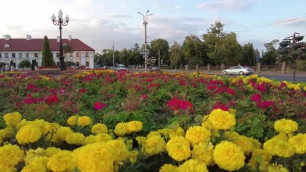 Grodno, Bielorussia - 24 luglio 2021: Timelapse di piazza Tyzengauza a Grodno con traffico stradale e fiori in primo piano — Video Stock