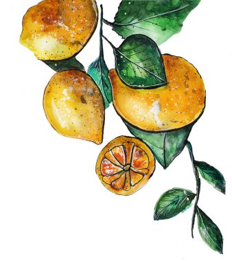 Beyaz arkaplanda yaprakları olan suluboya limonlar