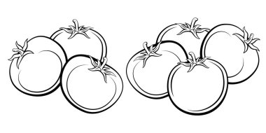 Domates beyaz arka planda izole edilmiş. Domates Çizgisi Çizim Çizimi. Yemek Çizimi. Domates ana hatları siyah beyaz. Sebze silueti izole edilmiş.