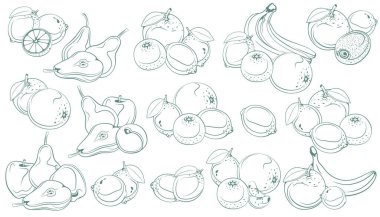 Fruits Illustration seti. Elle çizilmiş elma, armut, muz, kiraz, çilek, erik, kivi, limon ve portakal. Beyaz üzerine çizgi çiziliyor. Egzotik meyveler izole edilmiş