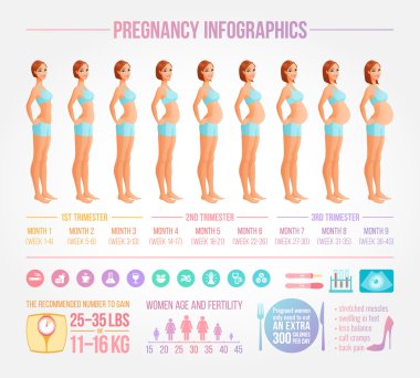 Dokuz aylık hamilelik devam ediyor. Infographic vektör set.