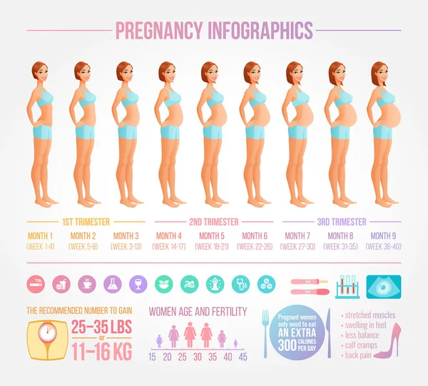 Neuf mois de grossesse en cours. Jeu de vecteurs infographiques . — Image vectorielle