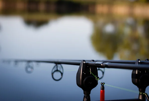 Varas de pesca de carpa — Fotografia de Stock