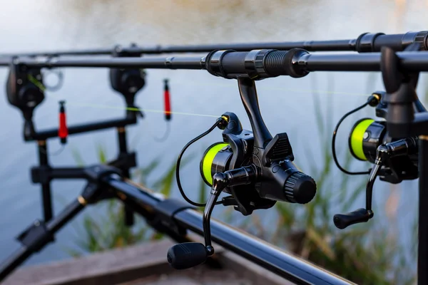 Varas de pesca de carpa — Fotografia de Stock