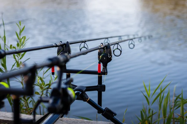 Varas de pesca de carpa — Fotografia de Stock