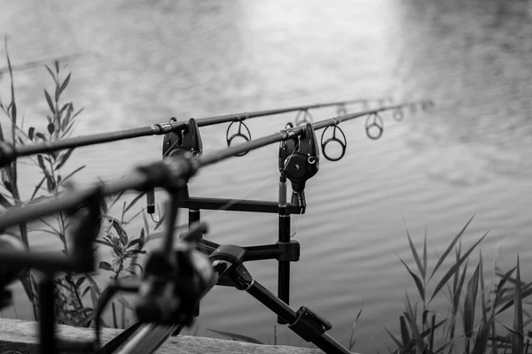 Varas de pesca de carpa — Fotografia de Stock