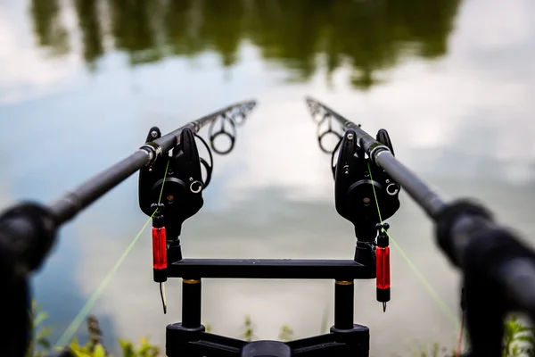 Varas de pesca de carpa — Fotografia de Stock