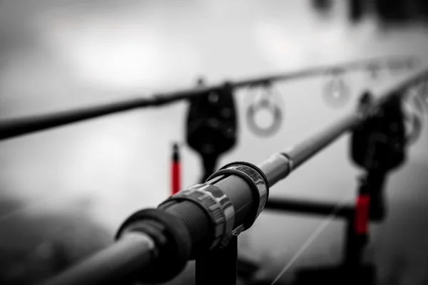 鯉釣りの竿 — ストック写真