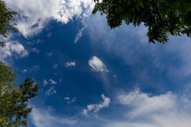 Mavi gökyüzü ile beyaz bulutlar ağaçlar tarafından çerçeveli