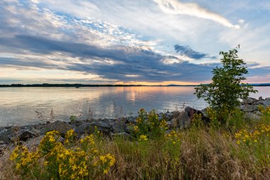 Güzel günbatımı Cunovo galerileri, Slovakya, Avrupa