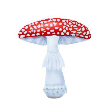 Yazın kırmızı amanita