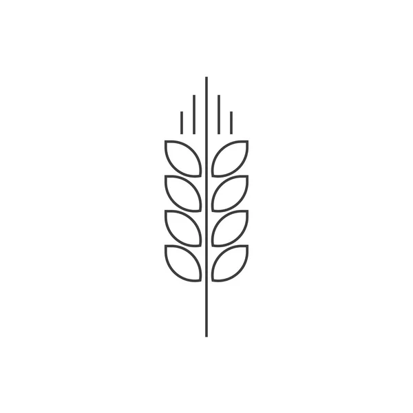 Wheat spike vector logo, grain ear icon organic food element — Stock Vector