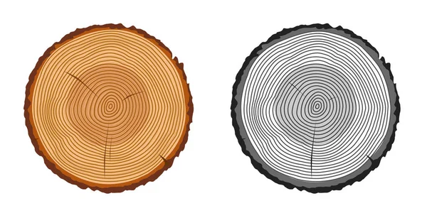 Árbol tronco anillos corte aislado primer plano vector ilustración conjunto, blanco y negro y marrón colorido tronco de madera rebanada — Archivo Imágenes Vectoriales