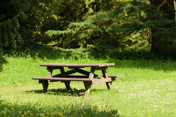 Piknik masa güneşli orman açıklıkta