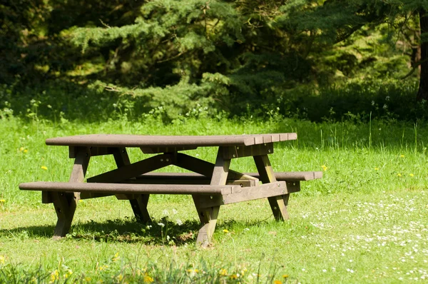 Picnic table in a sunny forest clearing — Stock Photo, Image