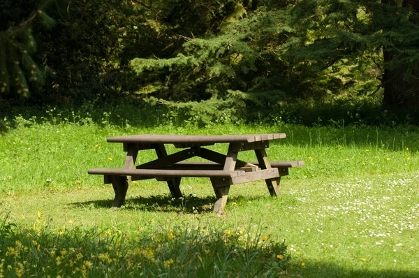 Piknik masa güneşli orman açıklıkta