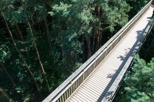 Деревянный пешеходный мост, пересекающий лес — стоковое фото