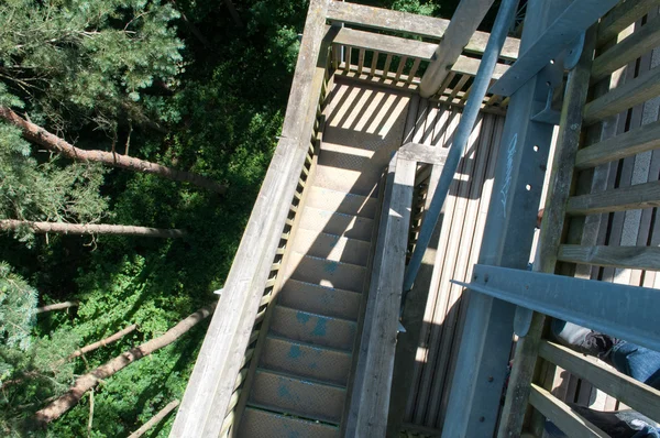 Holzsteg überquert hoch oben über einem Wald — Stockfoto