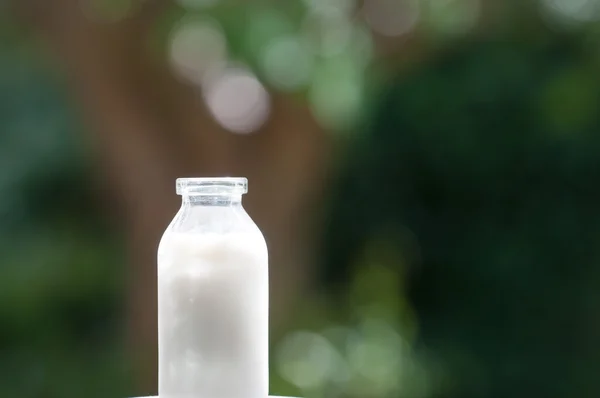Botella de leche sobre un fondo coloreado — Foto de Stock