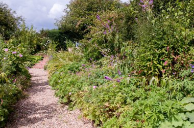 Resmi Bahçe çiçek yatak